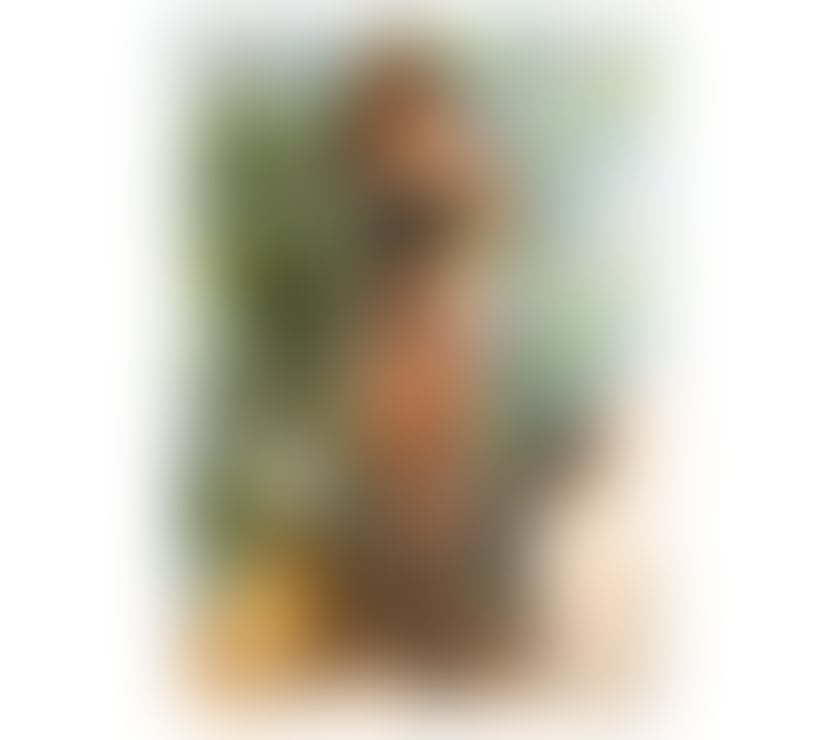 Escorts Warwickshire Warwick - Photos for MARIE 🔥HOT🔥🥂PARTY🥂BRAZILIAN🔥NEW IN TOWN