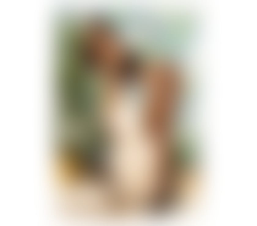 Escorts Warwickshire Warwick - Photos for MARIE 🔥HOT🔥🥂PARTY🥂BRAZILIAN🔥NEW IN TOWN