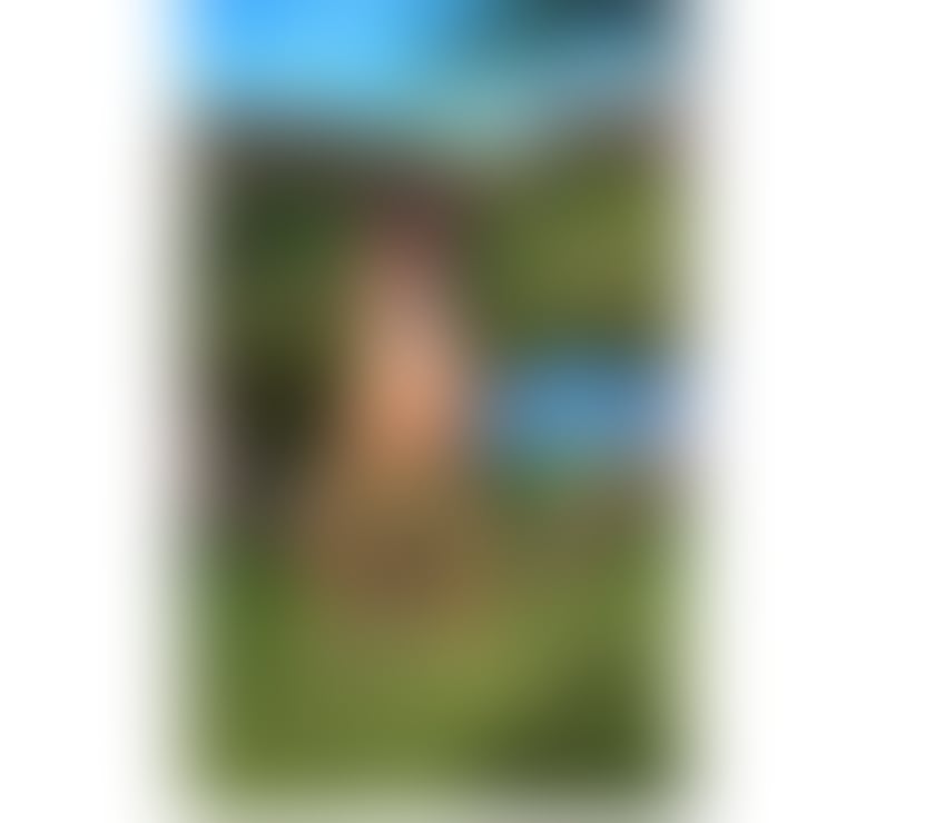 Escorts Bedfordshire Luton - Photos for Brazilian party