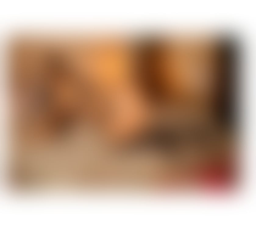 Escorts Norfolk Norwich - Photos for Brazilian party