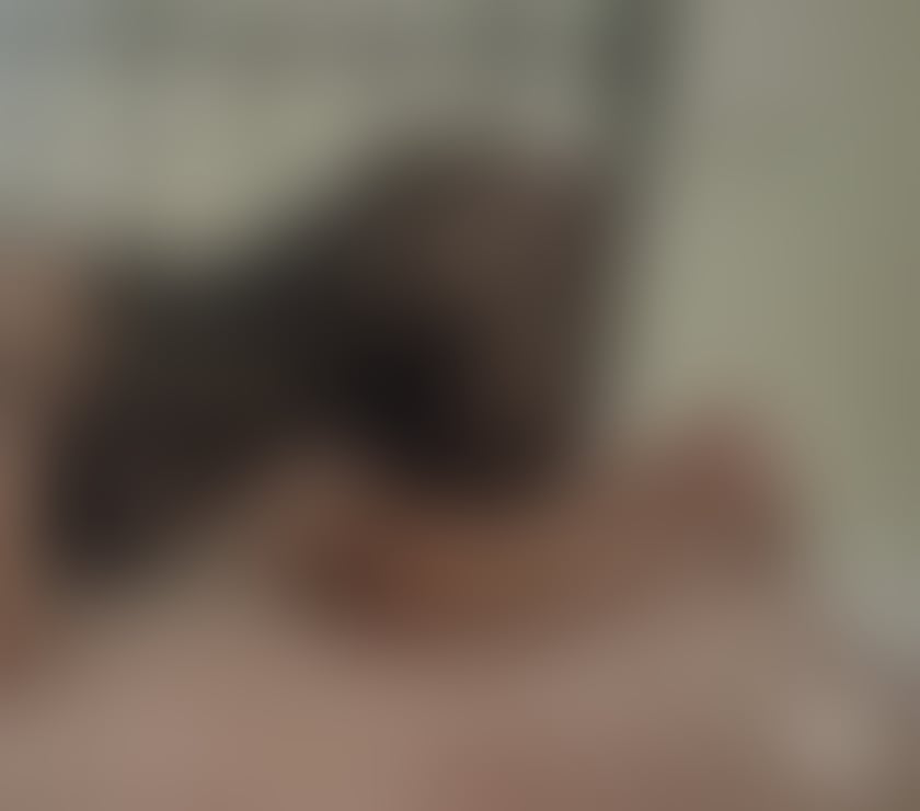 Escorts Bristol Redland - Bristol - Photos for Jasmine new in town❤️❤️❤️ outcall&incall 24h
