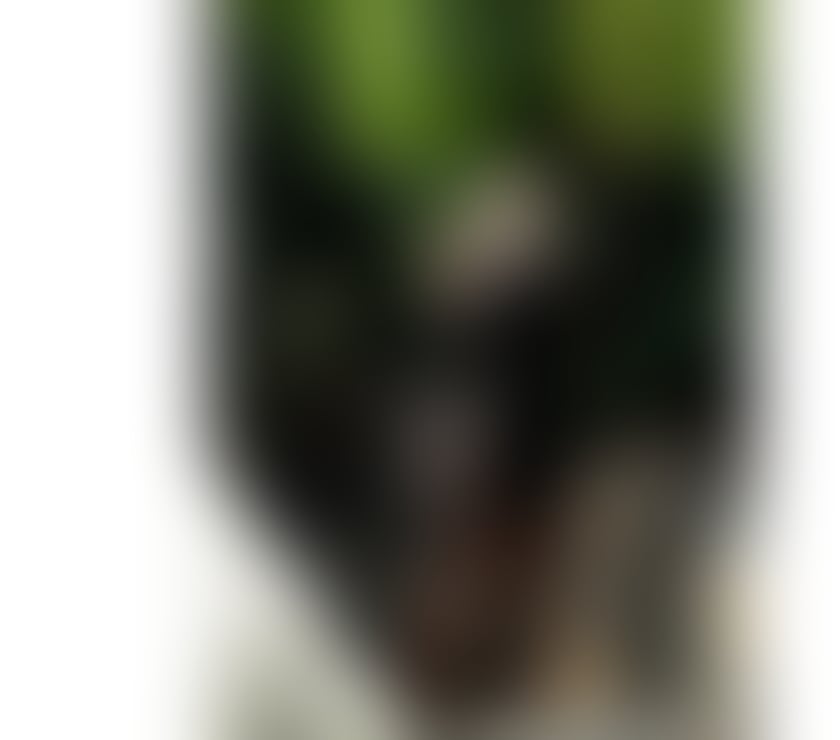 Escorts West Yorkshire Bradford - Photos for πππππ HELLO GUYS! πππππ bruna