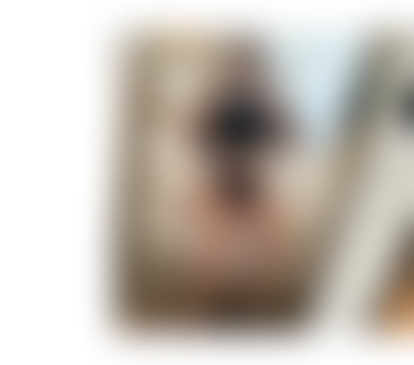  Escorts & Erotic Massage Wanstead Park Station East London - Photos for ✨𝑹𝒊𝒗𝒊𝒆𝒓𝒂 𝑬𝒍𝒐𝒓𝒂✨