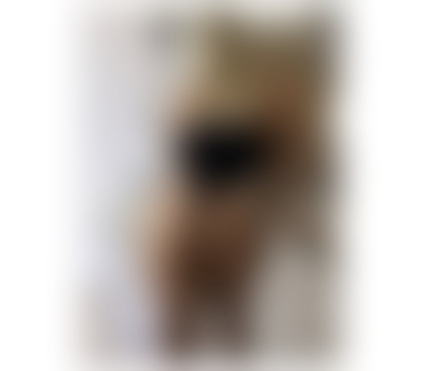 Escorts North Northamptonshire Corby - North Northamptonshire - Photos for Hi i’m New Here‼️ You won't regret it.💎