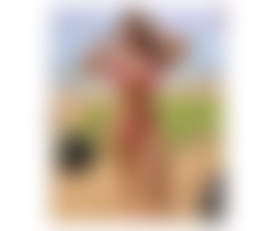 Escorts Hampshire Portsmouth - Photos for Sex Brazilian Girl 🇧🇷