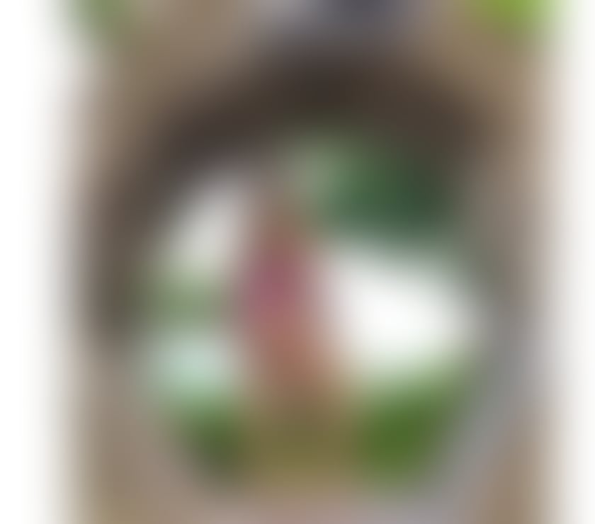 Escorts Cosham Portsmouth - Photos for Brazilian Girl 🇧🇷