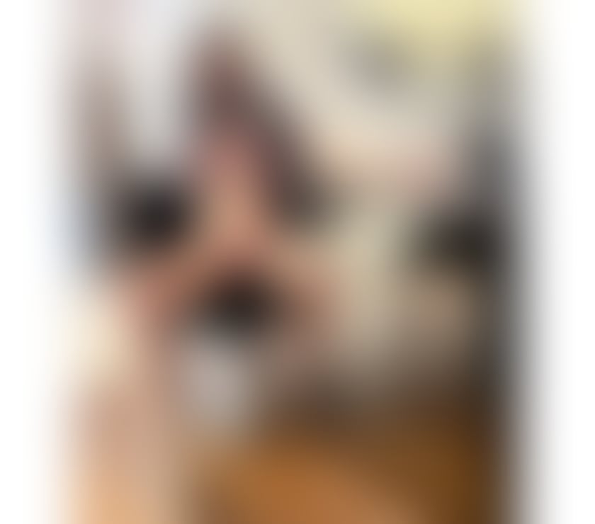 🥵top sensual Latina brunette real pics sloppy bj🙀