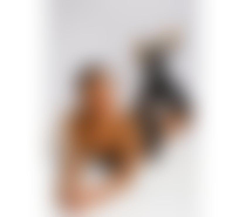 Trans Escorts Hertfordshire East Hertfordshire - Photos for TS PEROLA BRAZILIAN PARTY