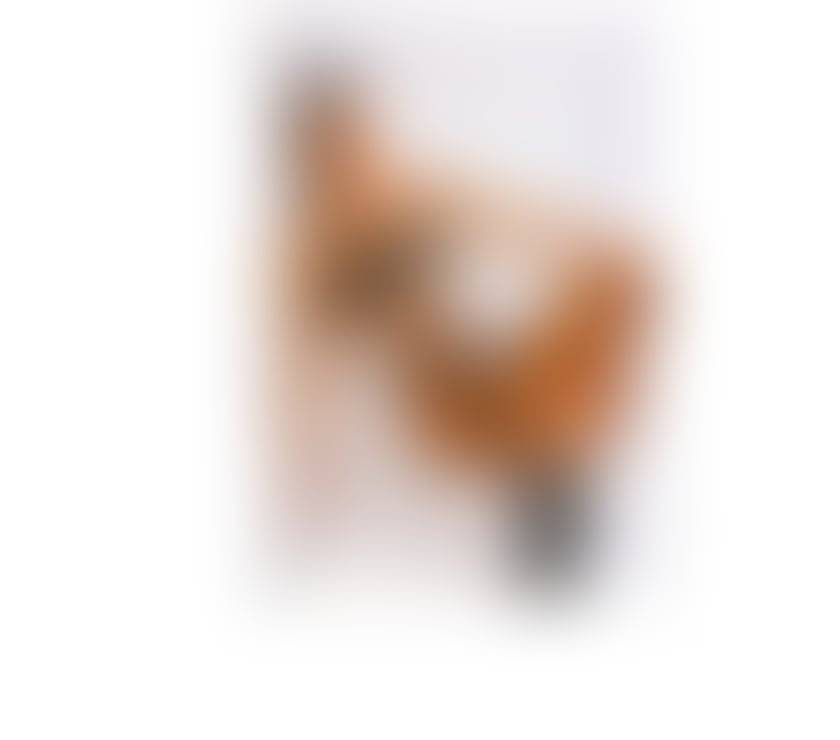 Trans Escorts Hertfordshire East Hertfordshire - Photos for TS PEROLA BRAZILIAN PARTY