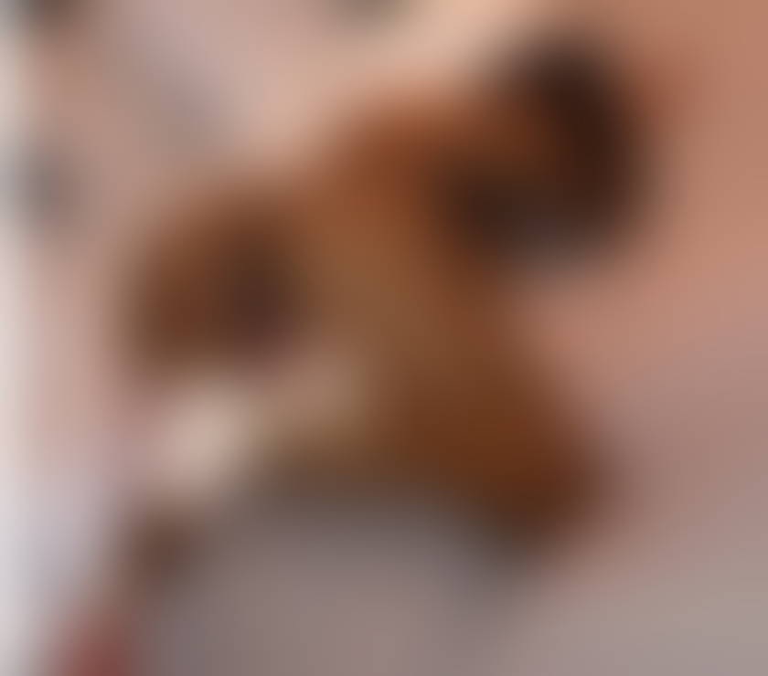 Escorts Kent Gravesham - Photos for 💕🍑Busty Kelly♥️Tantric OWO 🍯NO RUSH 💕