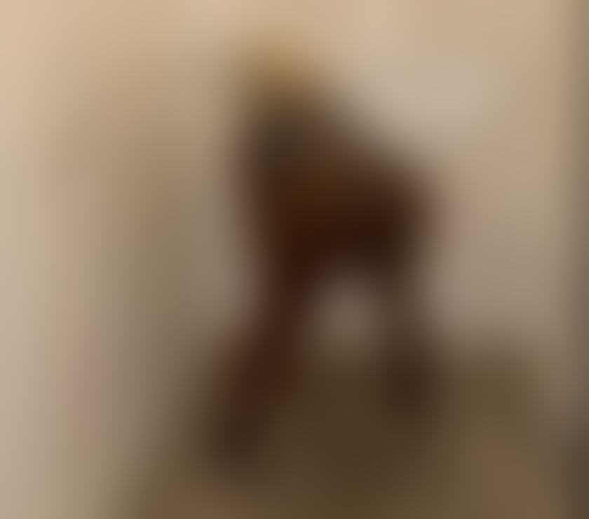 Escorts East London Stratford - East London - Photos for BUNDALICIOUS SPICE💞