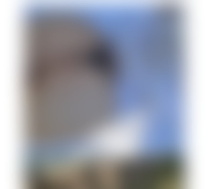 Escorts Bedfordshire Bedford - Photos for SEXY🍒MAYA🍒BIG ASS 🍑♥️