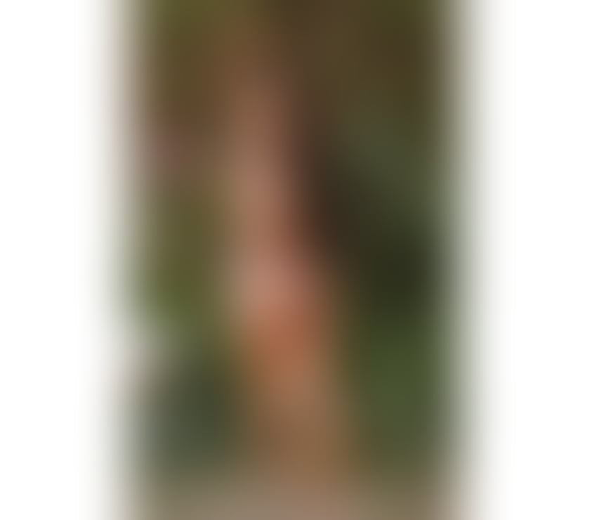 Escorts West London West Kensington - West London - Photos for tanned mulatto, Brazilian of Indian descent
