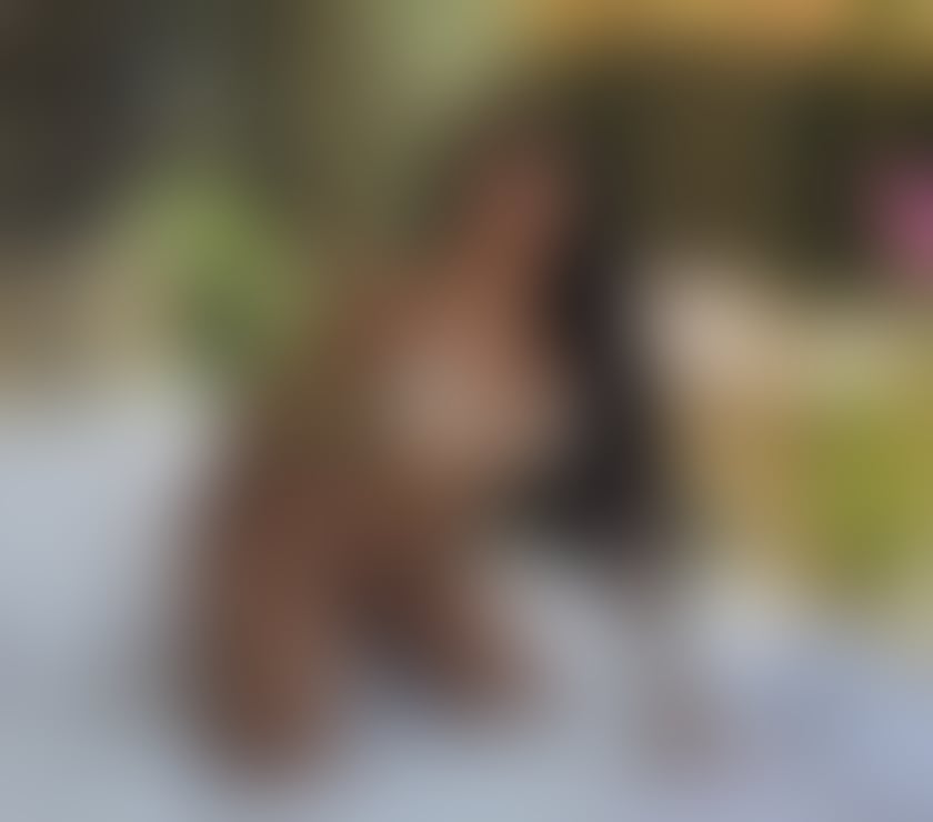 Escorts West Yorkshire Leeds - Photos for ❤️SOFIA🔥🔝REAL PICS💥GENUINE,SWEET AND SEXY