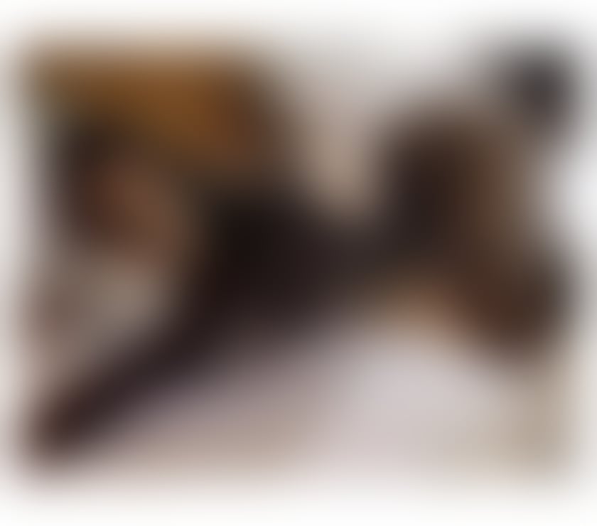 Escorts and Massages Harlow Town Centre Harlow - Photos for New diamond katie in your town!