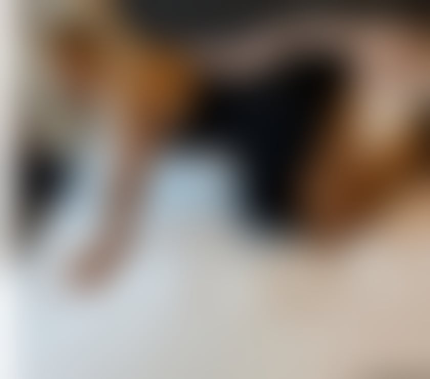 Escorts Essex Chelmsford - Photos for New beautiful 🧡Blondy girl❤️ outcall & incall