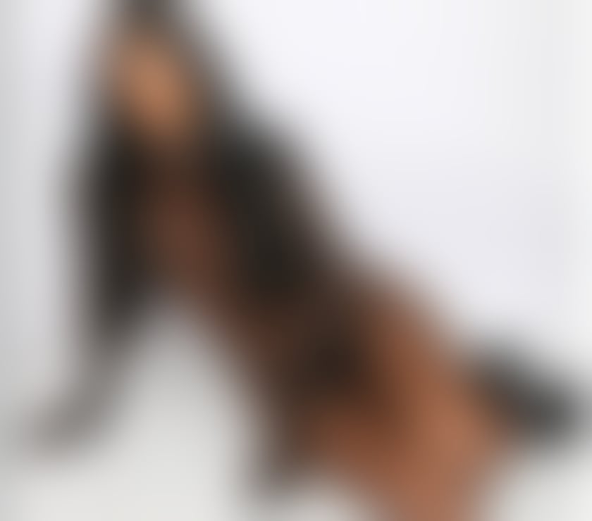 Escorts South East London Hither Green - South East London - Photos for CHANEL nueva🔞VIP girl