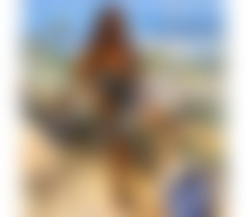 Escorts Hampshire Southampton - Photos for ❤️🍫FRANCHESCA CURVY BODY XLL 🍫💋💋