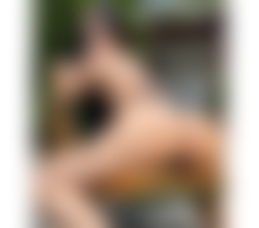 Escorts North Yorkshire Scarborough - North Yorkshire - Photos for 🍒Naughty LEXI 🪩 🔝HOTTEST BRUNETE 🔝SLIM🔞Party