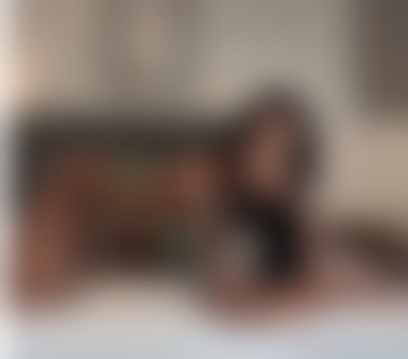 Escorts Shropshire Shrewsbury - Shropshire - Photos for 🆕JASMINE NEW IN YOUR TOWN 🇧🇷❤️‍🔥