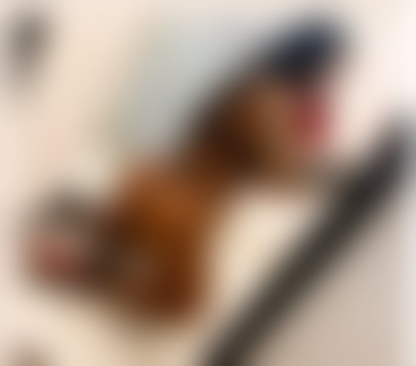 Escorts South Yorkshire Doncaster - Photos for Hello i am Adelle just come in yours town❌party❤☎️