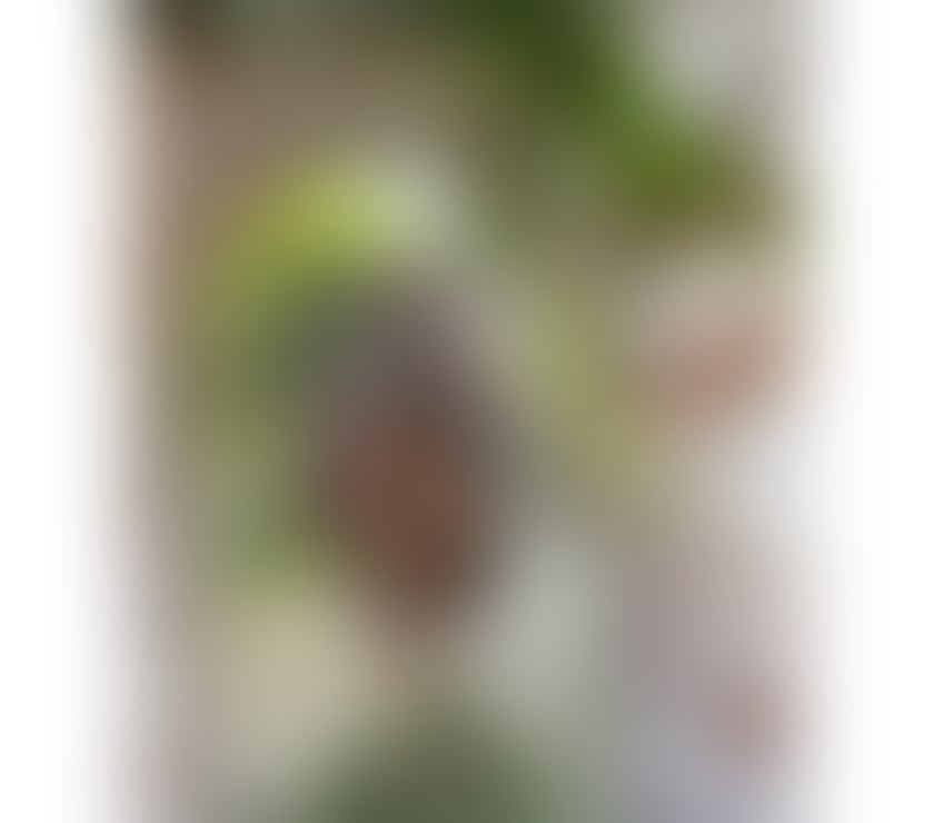 Escorts South East London Croydon - Photos for Taina 💎😈 real and good service ❤️call me