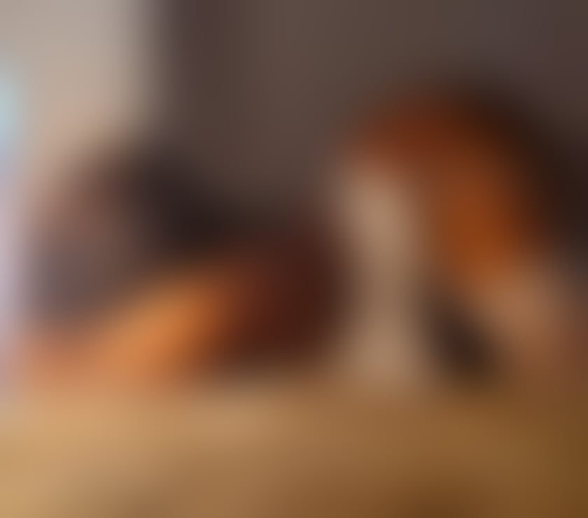 Escorts West Midlands Birmingham - Photos for Beauty of a Nympho