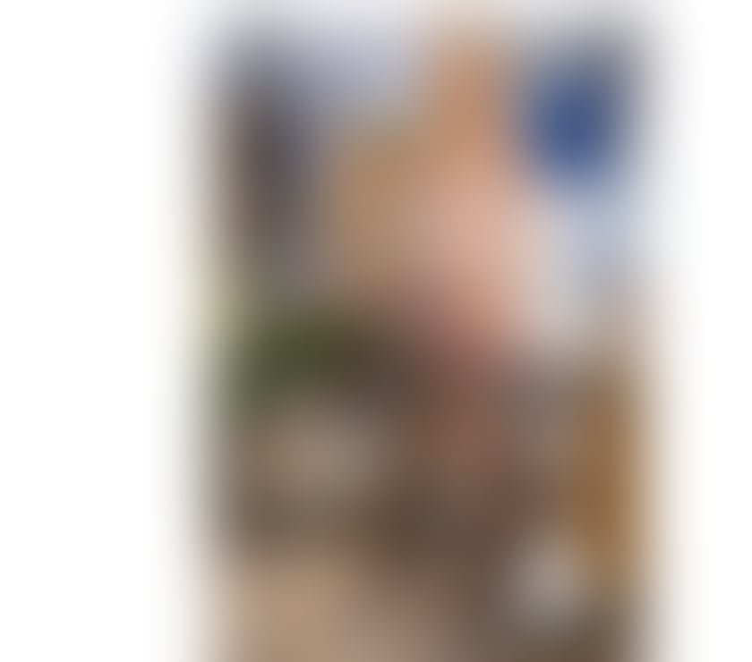 Escorts South Yorkshire Doncaster - Photos for JESSICA💕NEW PARTY GIRL💕