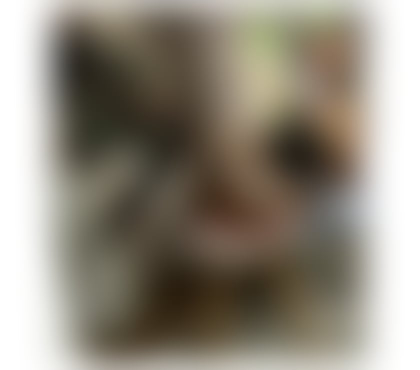 Escorts Perth and Kinross Perth - Perth and Kinross - Photos for New escort in your area best offer
