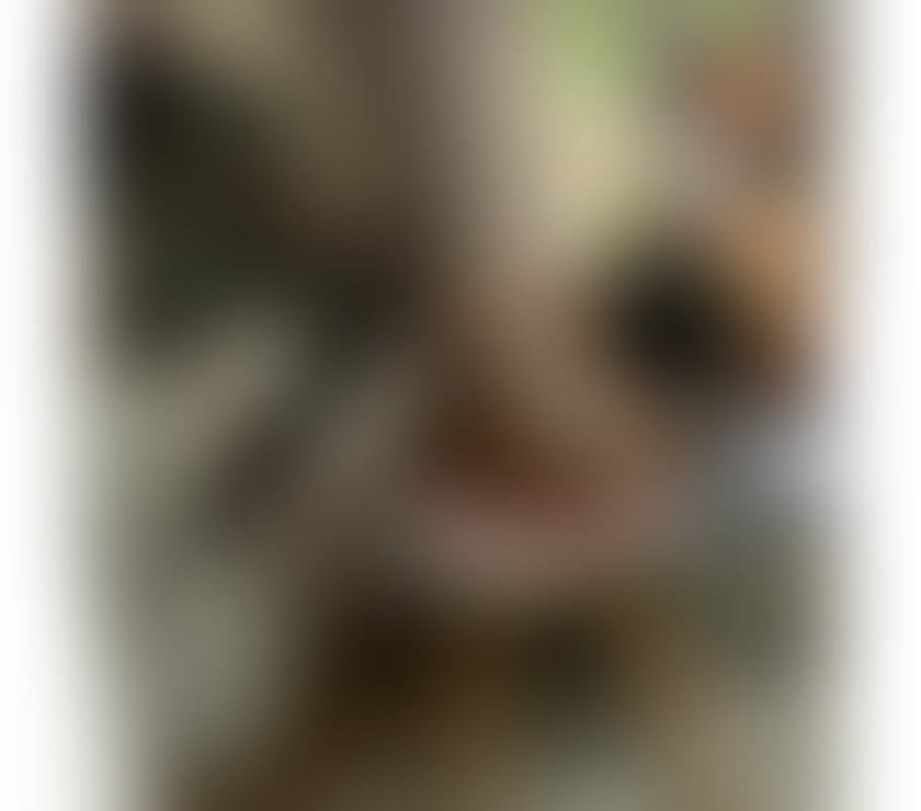 Escorts Cornwall Truro - Cornwall - Photos for Naughty girl in town best services