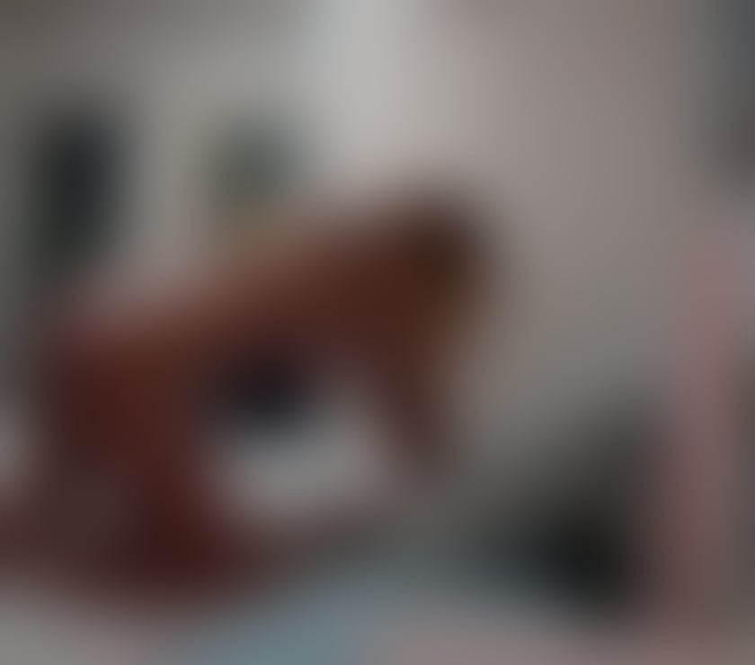 Escorts Dundee Dundee City Centre - Dundee - Photos for Experience Mature Woman, Sexy Curves