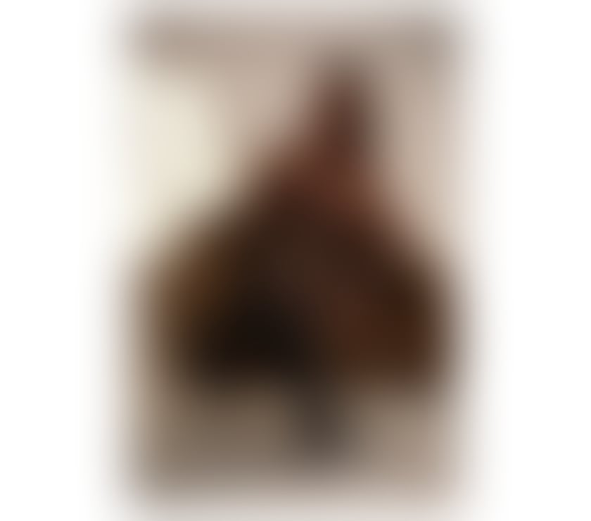 Trans Escorts Central London Russell Square - Central London - Photos for Thayse Carbonari Queen Of Sexy