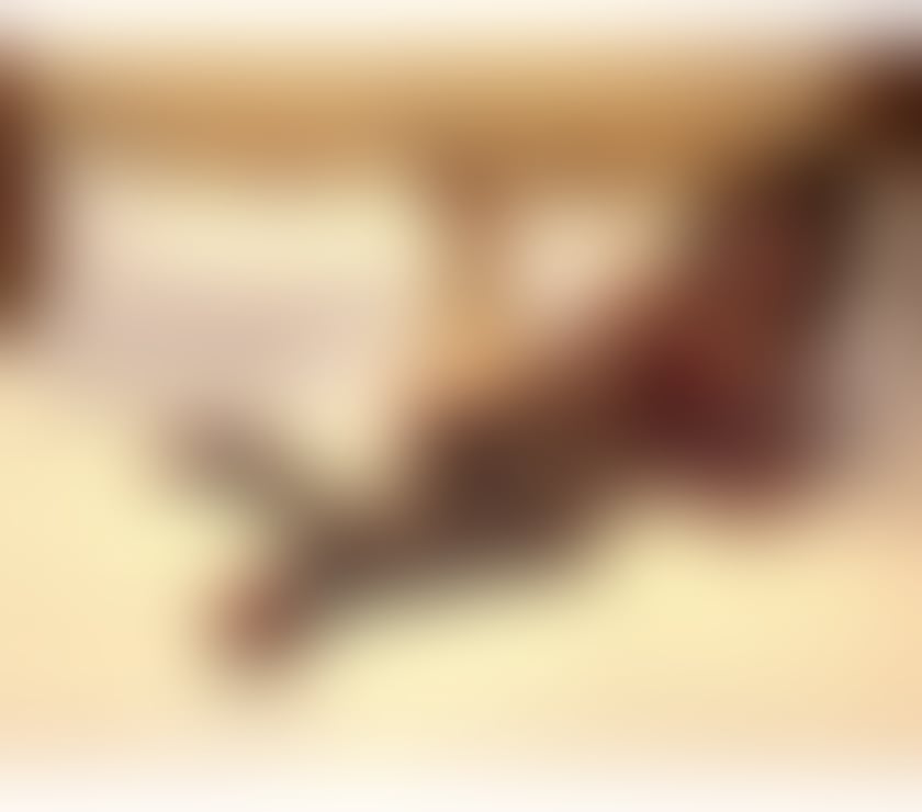 Trans Escorts Central London Russell Square - Central London - Photos for Thayse Carbonari Queen Of Sexy