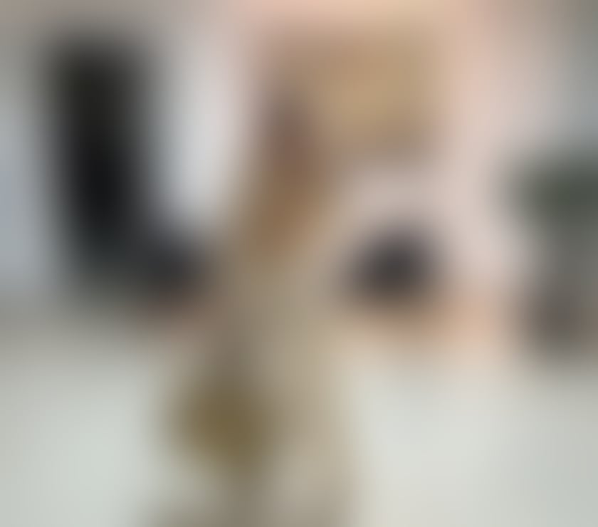 Escorts Kent Dartford - Photos for 🔥Yasmim New Girl, Love Party🔥24 hours📞