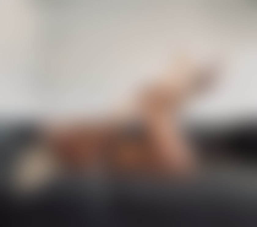Escorts Nottinghamshire Nottingham - Photos for Lusy SWEET AND INNOCENT REAL PICS 100% XX