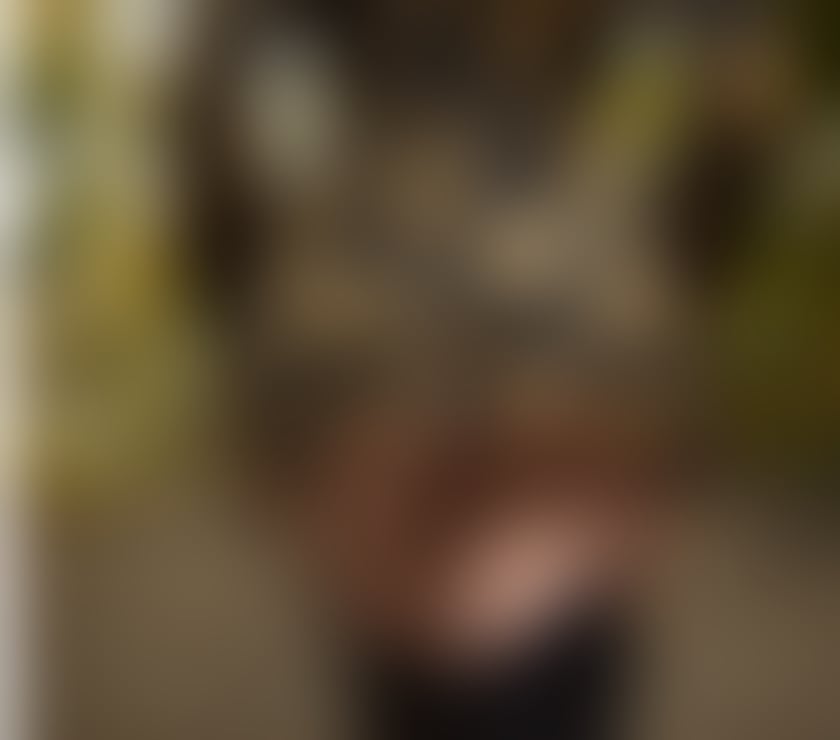Escorts South West London Kingston upon Thames - Photos for Sexy Party Girl Best Moments