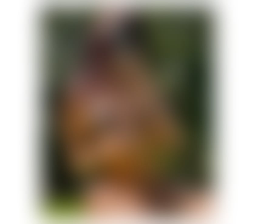 Escorts Shropshire Telford and Wrekin - Photos for NEW🌶️GFE❤️OWO🔥TOP SERVICE🔝NO RUSH🤫