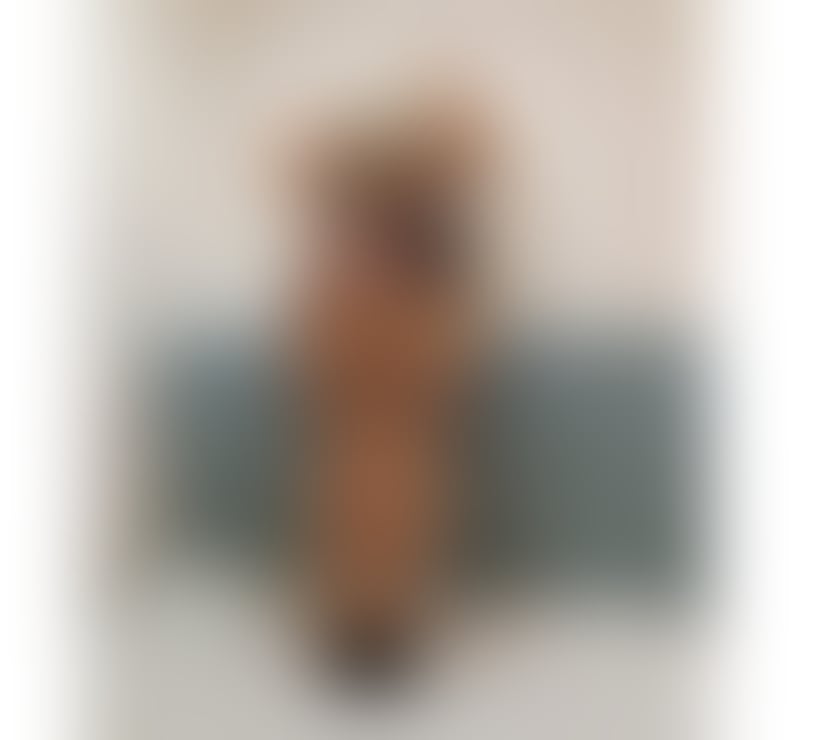 Escorts East London Havering - Photos for POLISH BLONDE Vanessa * OWO * GFE * FRENCH KISSING *