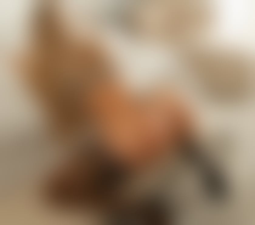 Escorts North London Ponders End - North London - Photos for Bárbara ✨ Brazilian 🇧🇷 Party Girl 7 24🎊