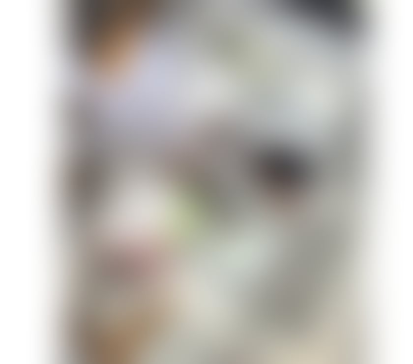 Escorts Lancashire Lancaster - Photos for Baby Aylla Brazilian 💗sweet sexy girl 🧸 💕Luxury GFE
