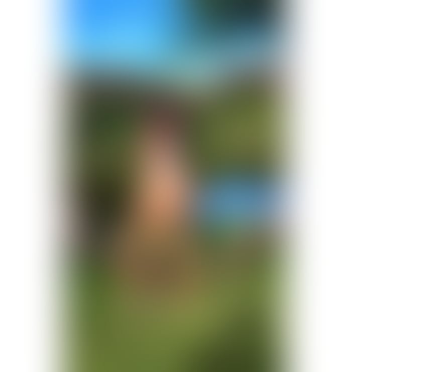 Escorts Norfolk Norwich - Photos for Brazilian party