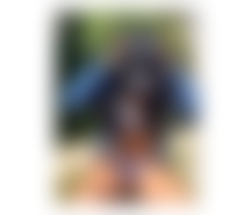 Escorts Nottinghamshire Nottingham - Photos for New Nottingham hot girl 👄💥🍑