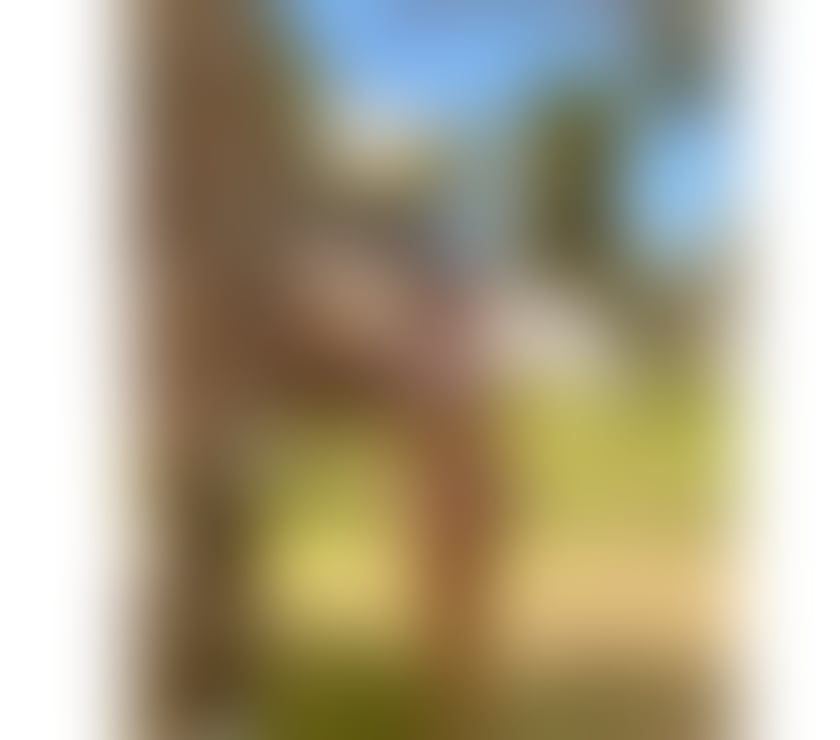 Escorts Conwy Llandudno - Conwy - Photos for Raquel sexy 🇧🇷🥵❤️