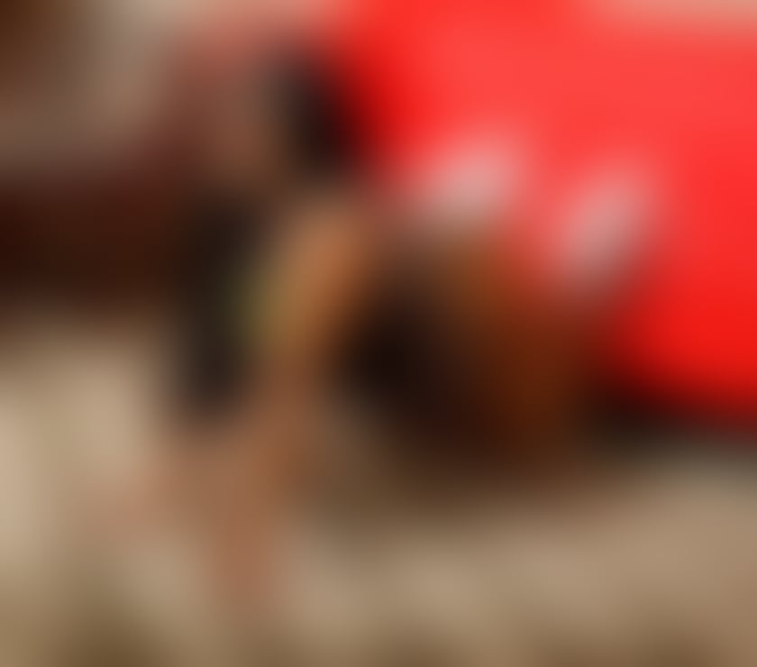 Escorts Shropshire Shrewsbury - Shropshire - Photos for Mery brazilian 🇧🇷 I'm not fake, prove that I'm real