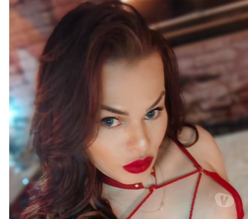 Escorts Somerset Taunton - Somerset - Photos for 🔥Gorgeous Daniela TRANSEXUAL in TA1🔥
