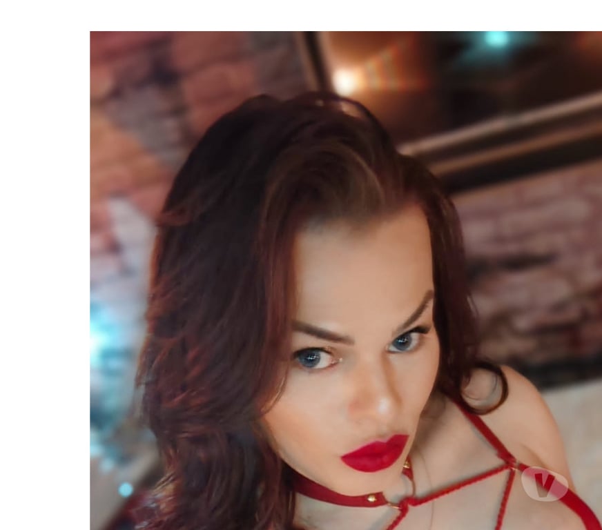 Trans Escorts Somerset Taunton - Somerset - Photos for 🔥Gorgeous Daniela TRANSEXUAL in TA1🔥