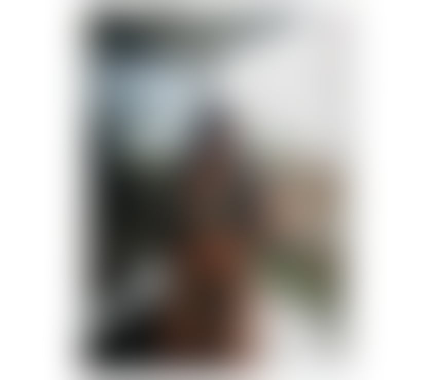 Escorts Essex Brentwood - Photos for PIETRA ❤️BRAZILIAN 🇧🇷 P@RTY GIRL🔝