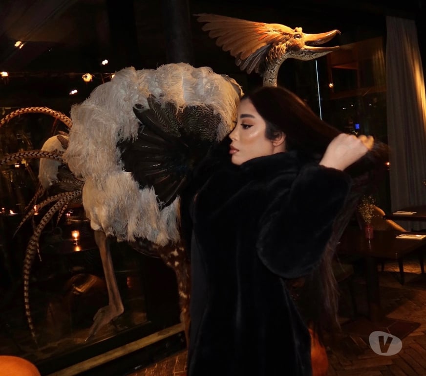 Trans Escorts Bristol Bristol City Centre - Bristol - Photos for Jessica castro2