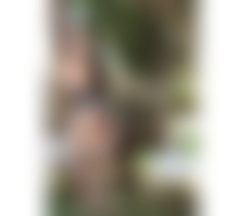 Escorts Greater Manchester Manchester - Photos for Lopita Naughty girl 😍