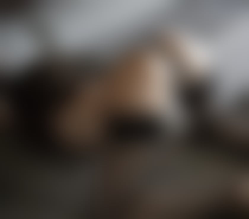 Escorts East London Hackney - East London - Photos for Hot only for you